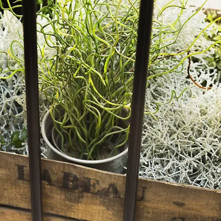 Hotell Maxim Quartier Latin Paris