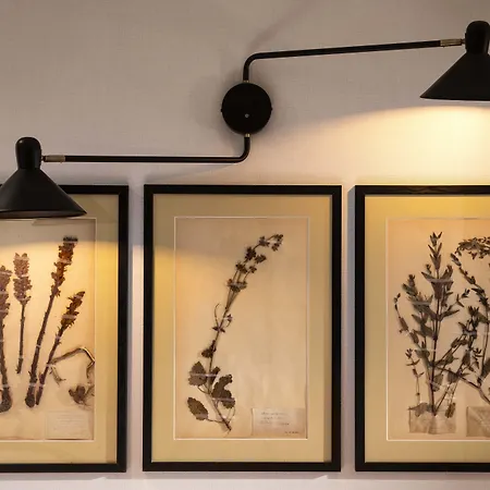 Hotel Maxim Quartier Latin Paris