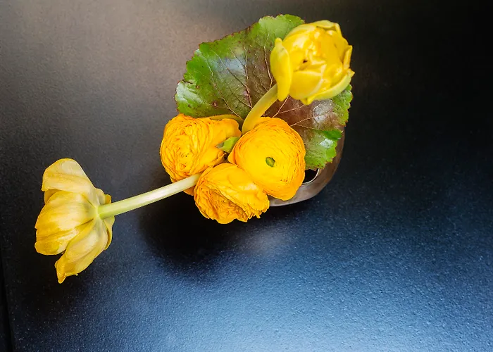 Maxim Quartier Latin 3* Paris