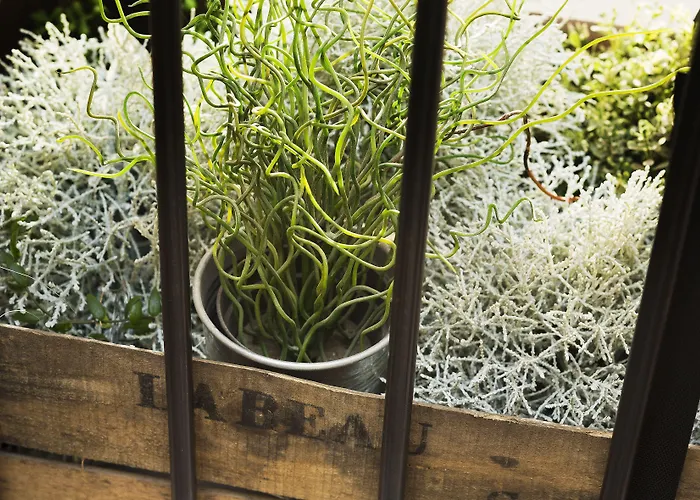 Hotel Maxim Quartier Latin Paris